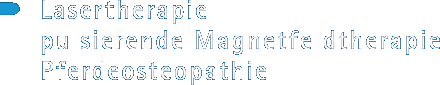 Lasertherapie, pulsierende Magnetfeldtherapie,Pferdeosteopathie